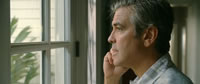 The Descendants